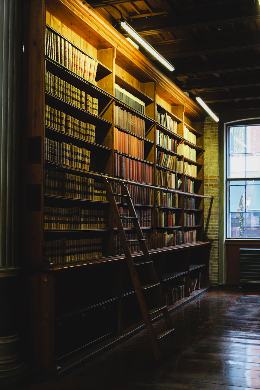 vintage library bookshelves with wooden ladder