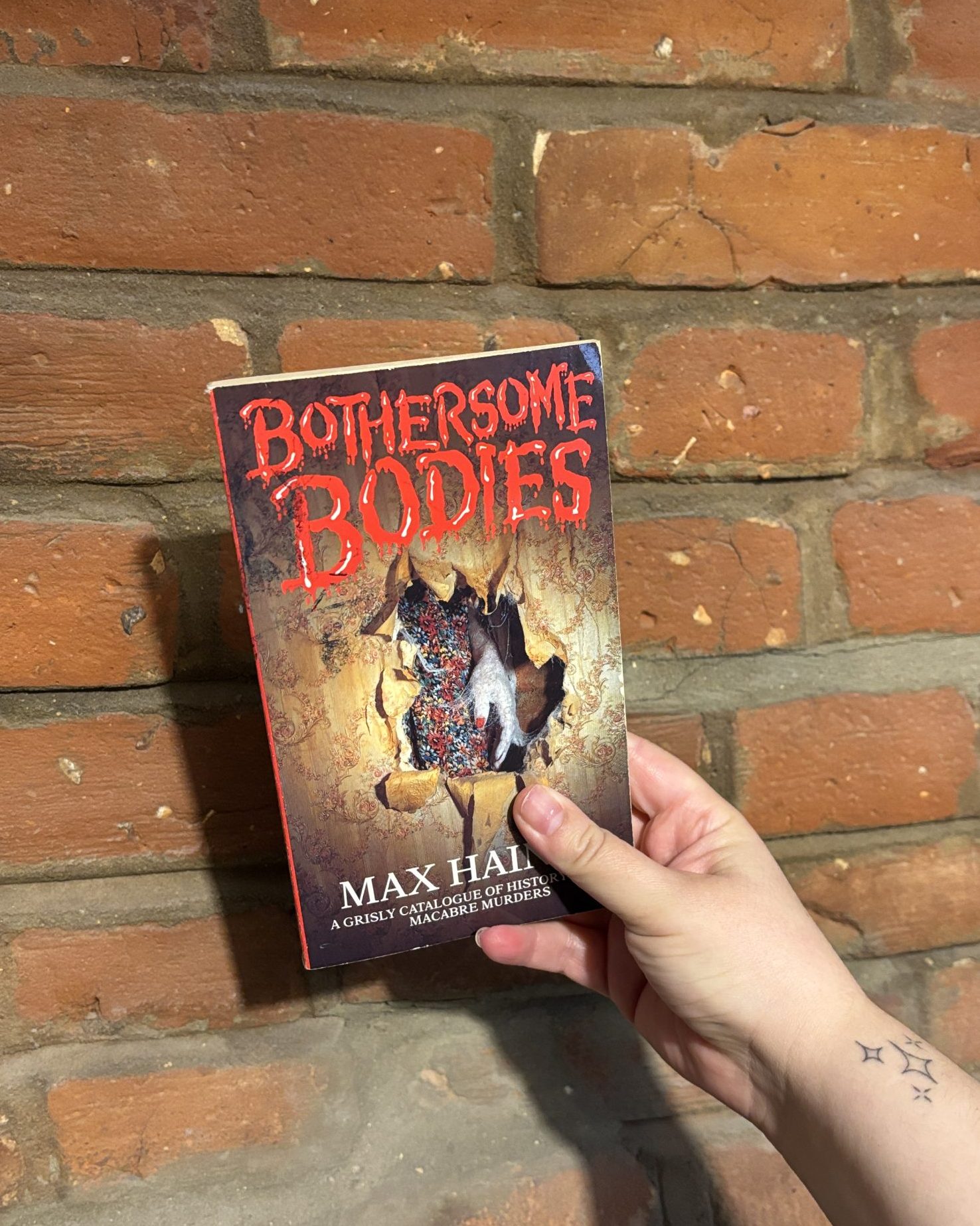 Bothersome Bodies - Max Haines
