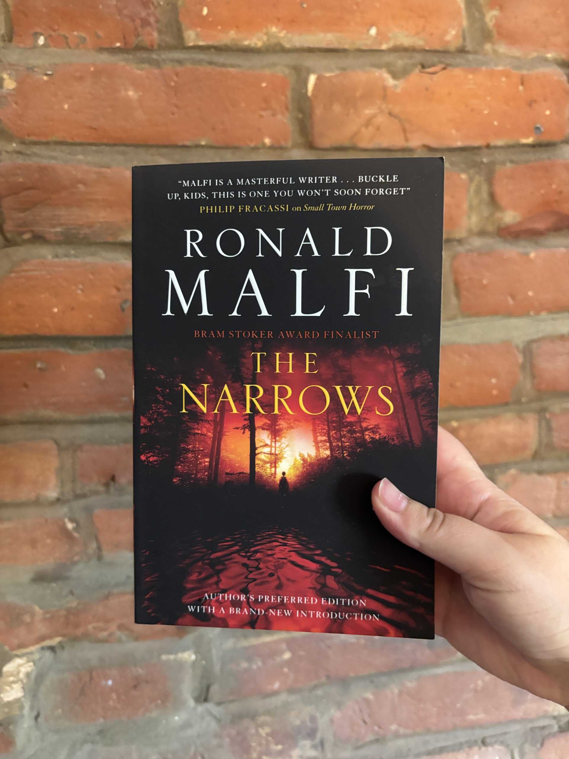 The Narrows - Ronald Malfi