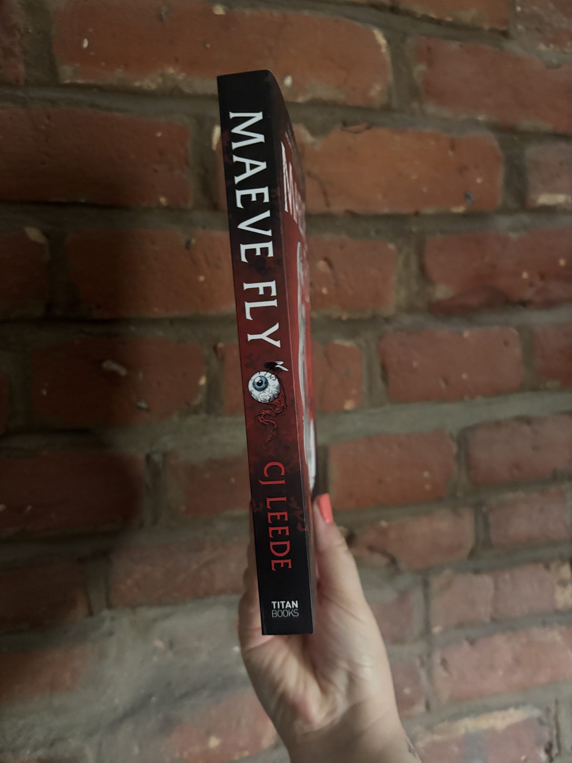 Maeve Fly CJ Leede book spine
