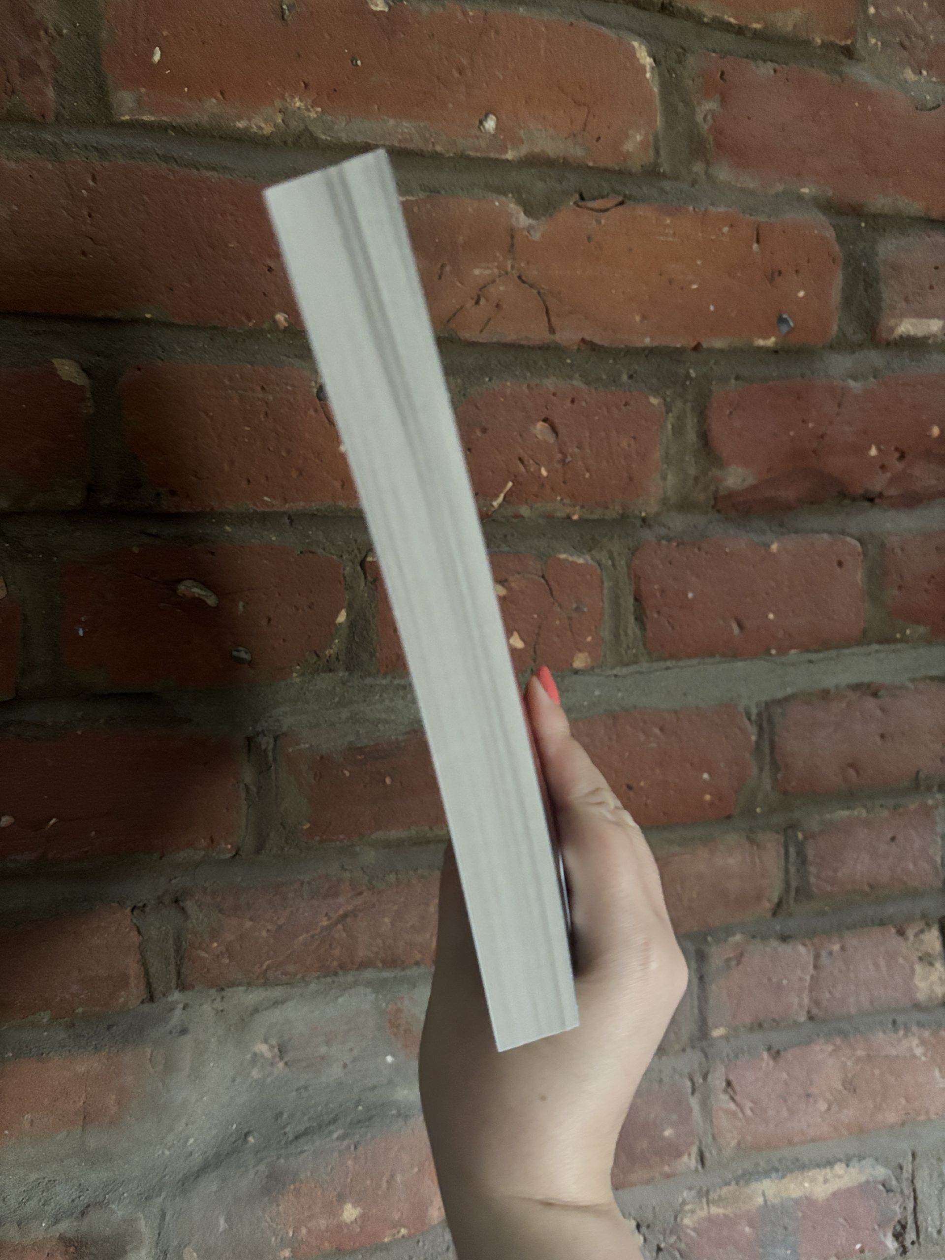 Maeve Fly CJ Leede book edge