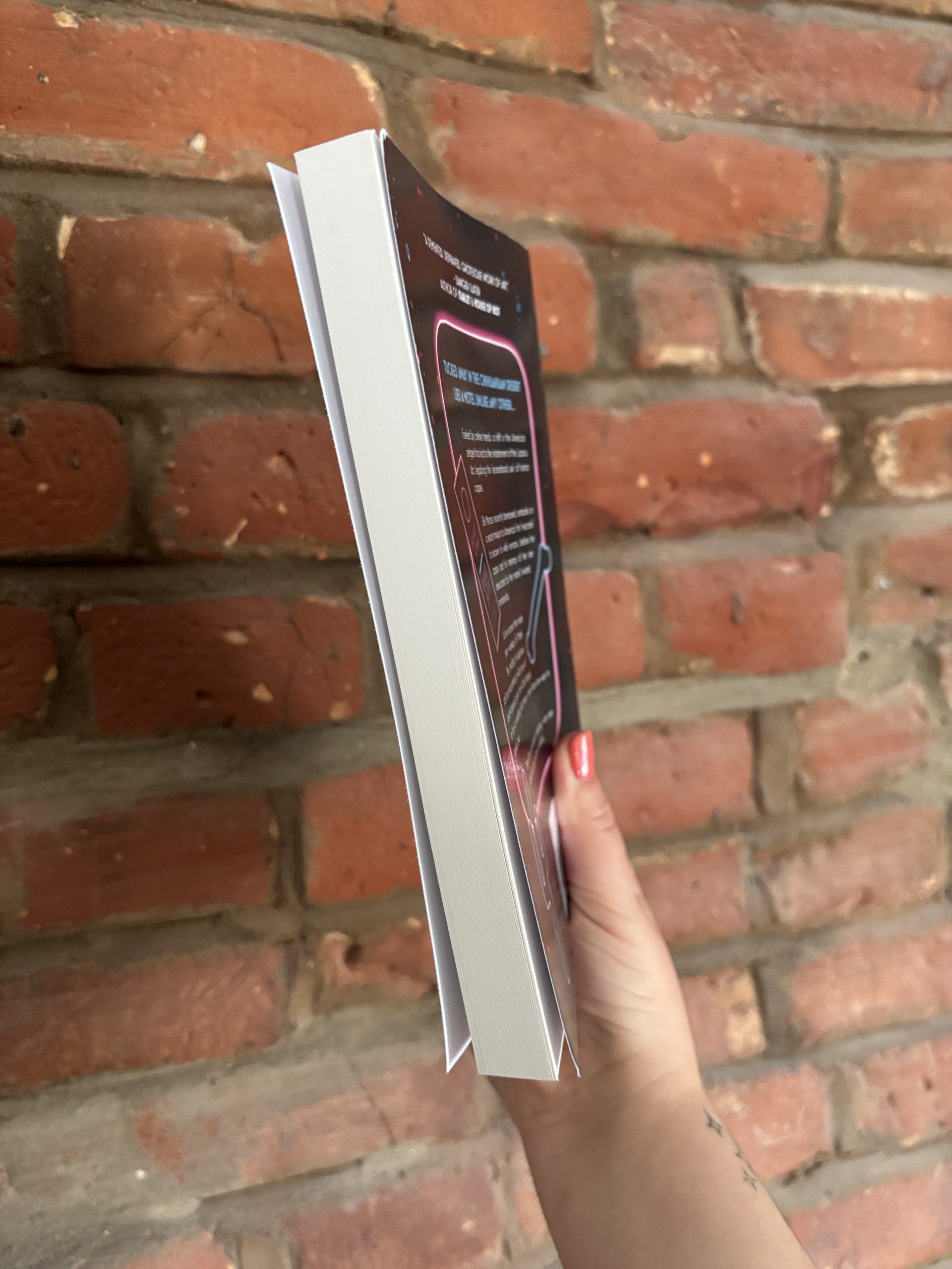 Motel Styx book edge