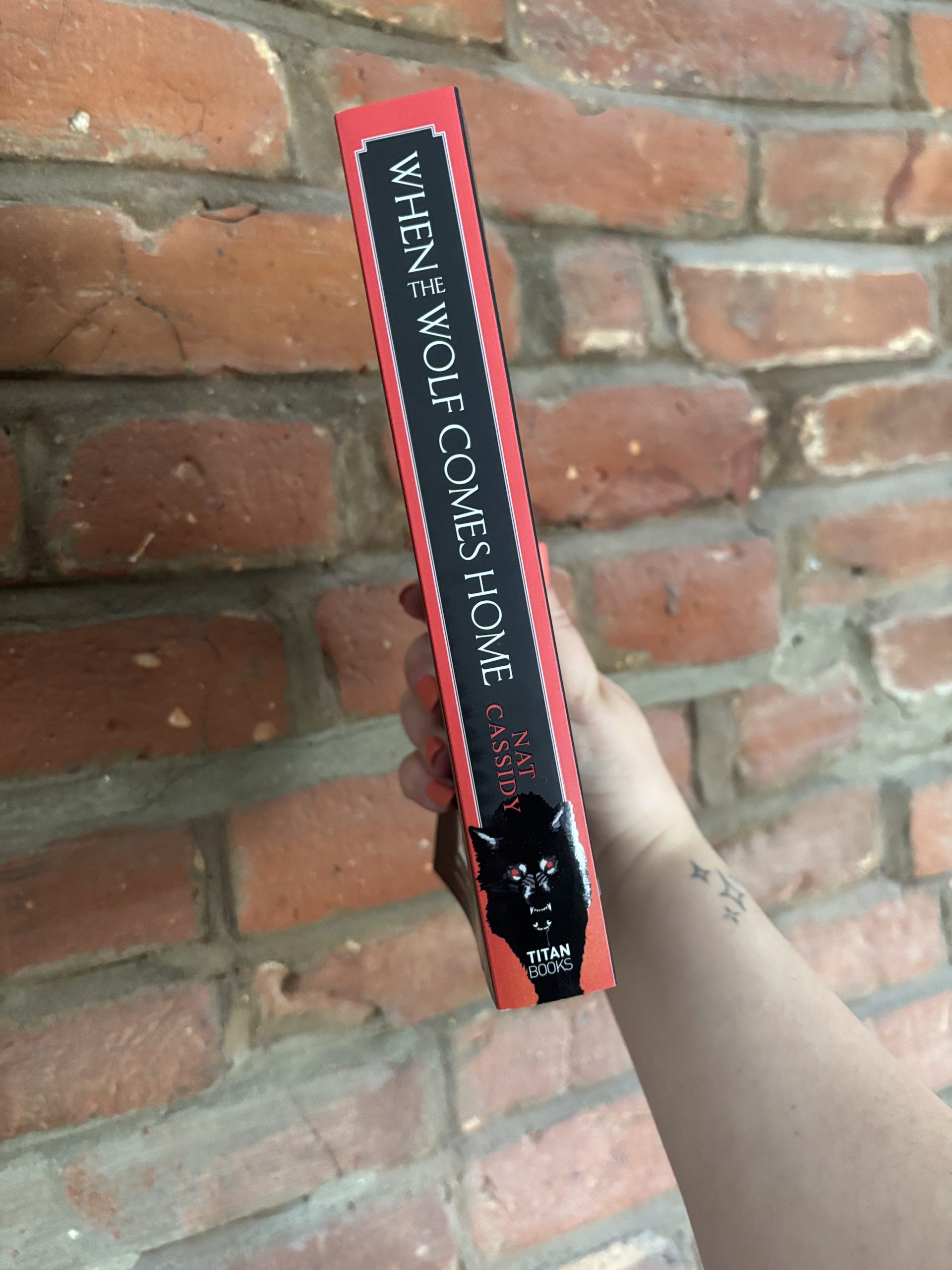 When The Wolf Comes Home Nat Cassidy book spine