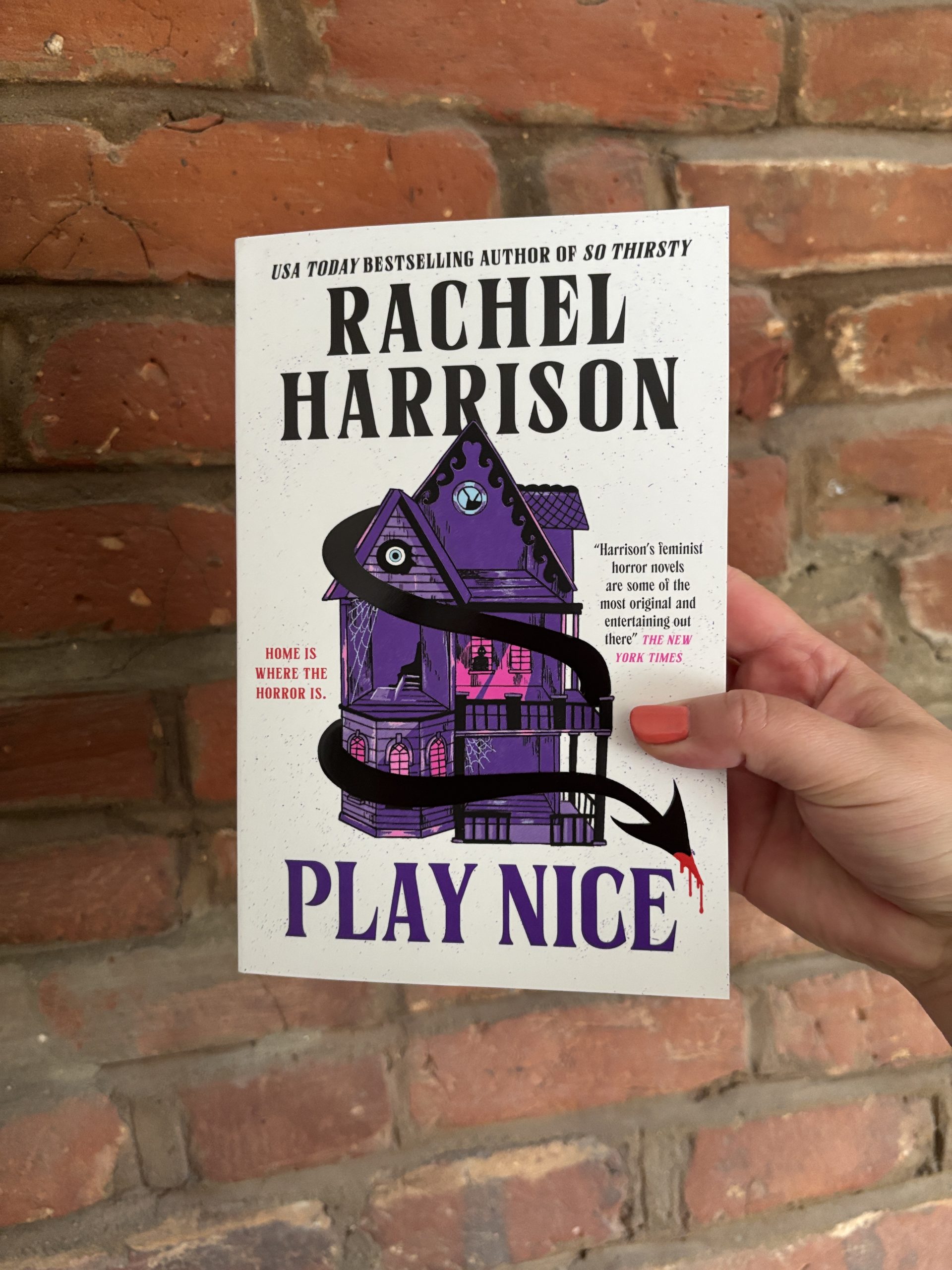 Rachel Harrison Play Nice book cover