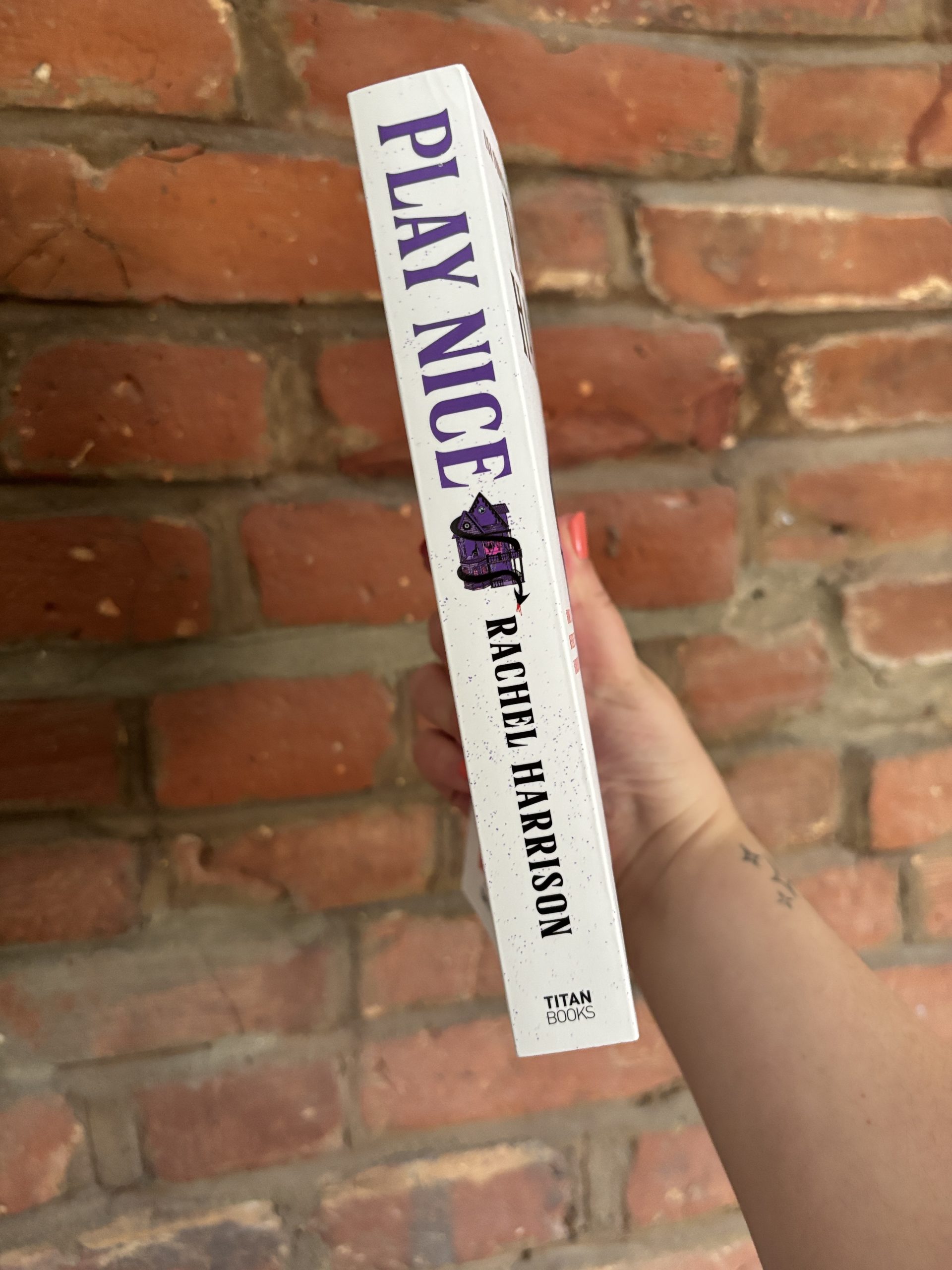 Rachel Harrison Play Nice book spine