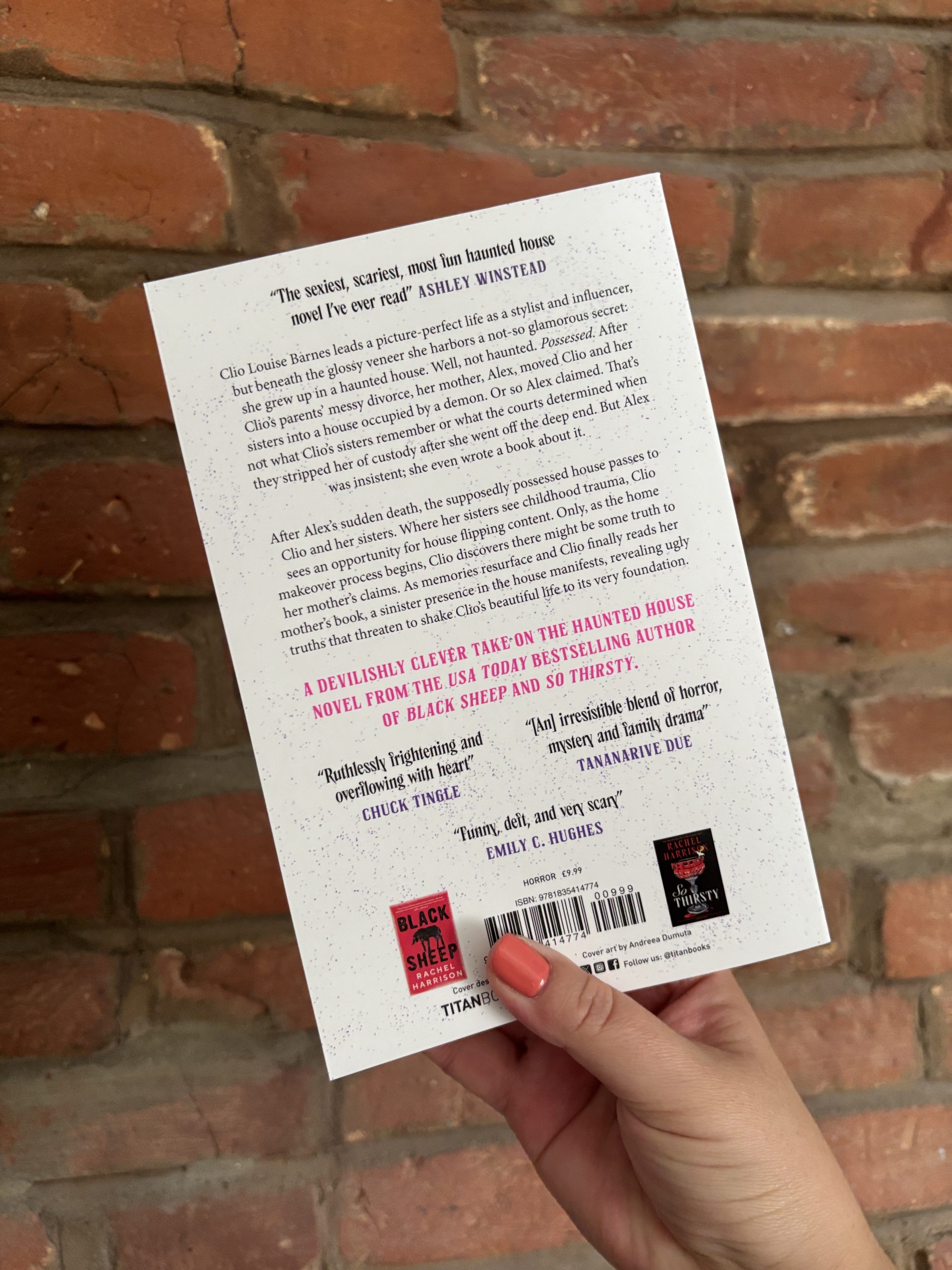 Rachel Harrison Play Nice back cover