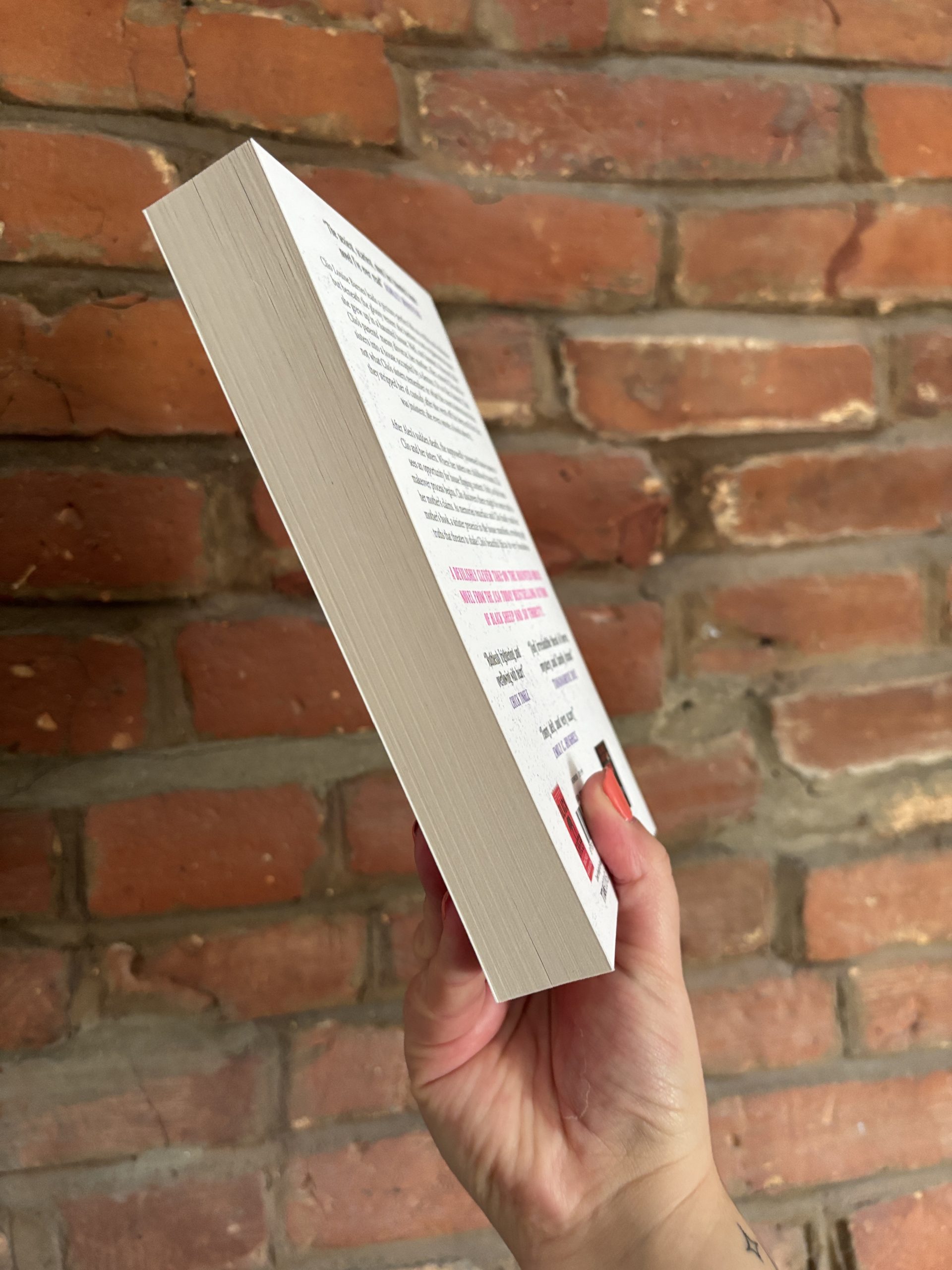 Rachel Harrison Play Nice book edge
