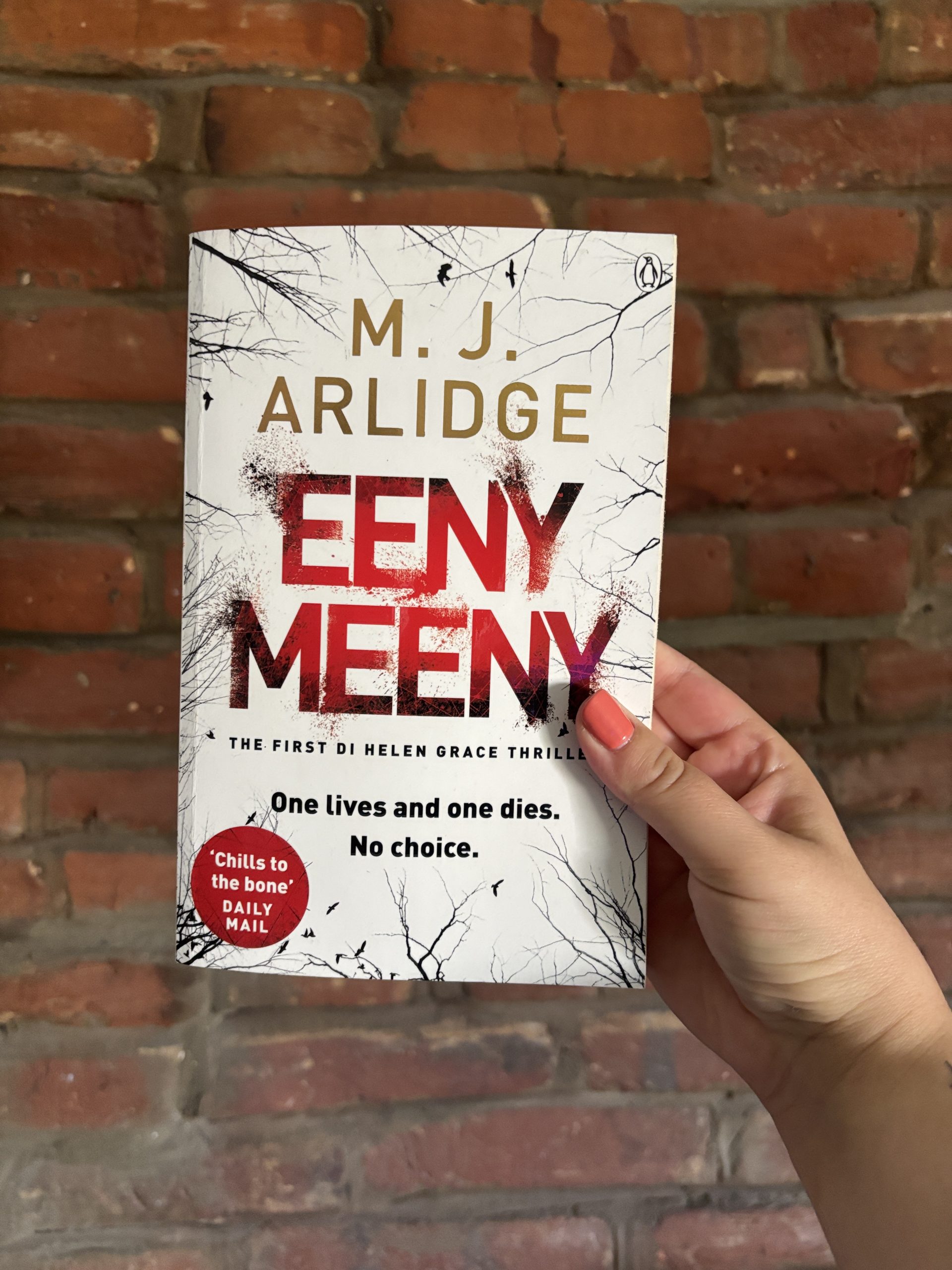 Eeny Meeny MJ Alridge book cover