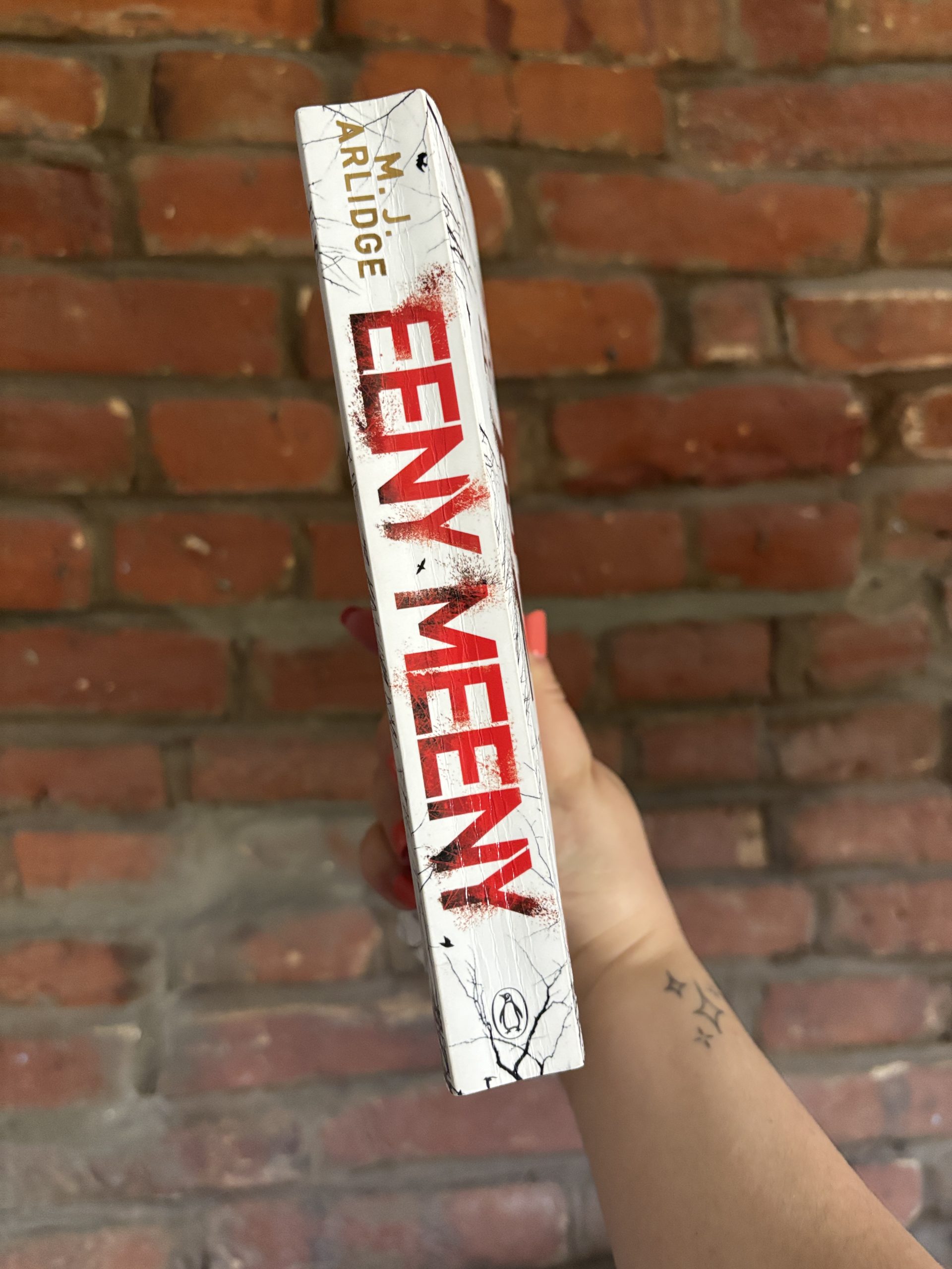 Eeny Meeny MJ Alridge book spine