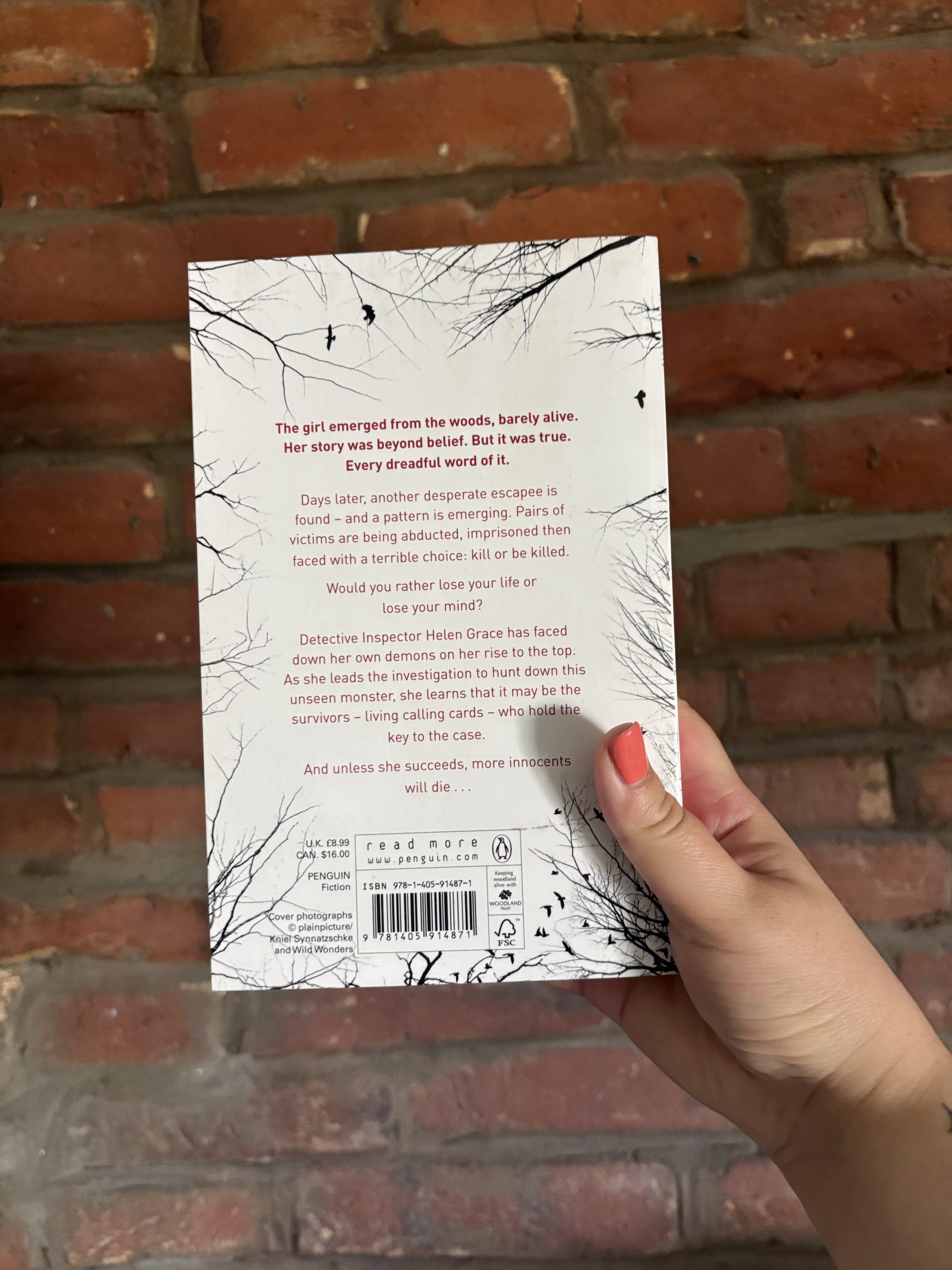 Eeny Meeny MJ Alridge back cover