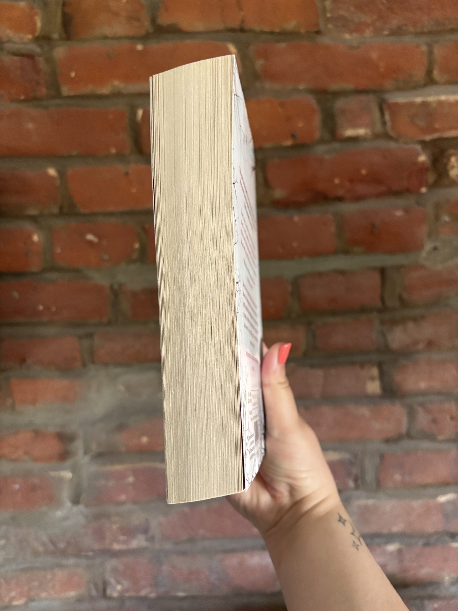 Eeny Meeny MJ Alridge book spine
