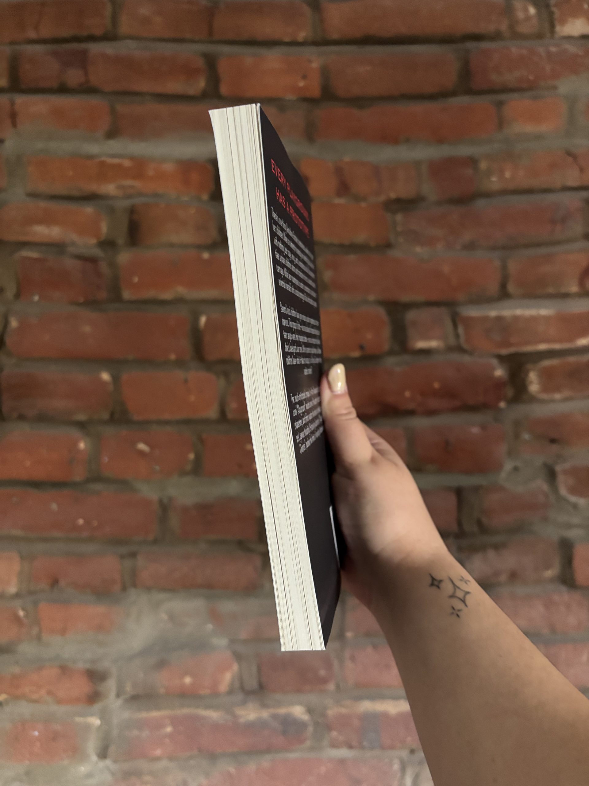 Playground: Child of Divorce Aron Beauregard book spine