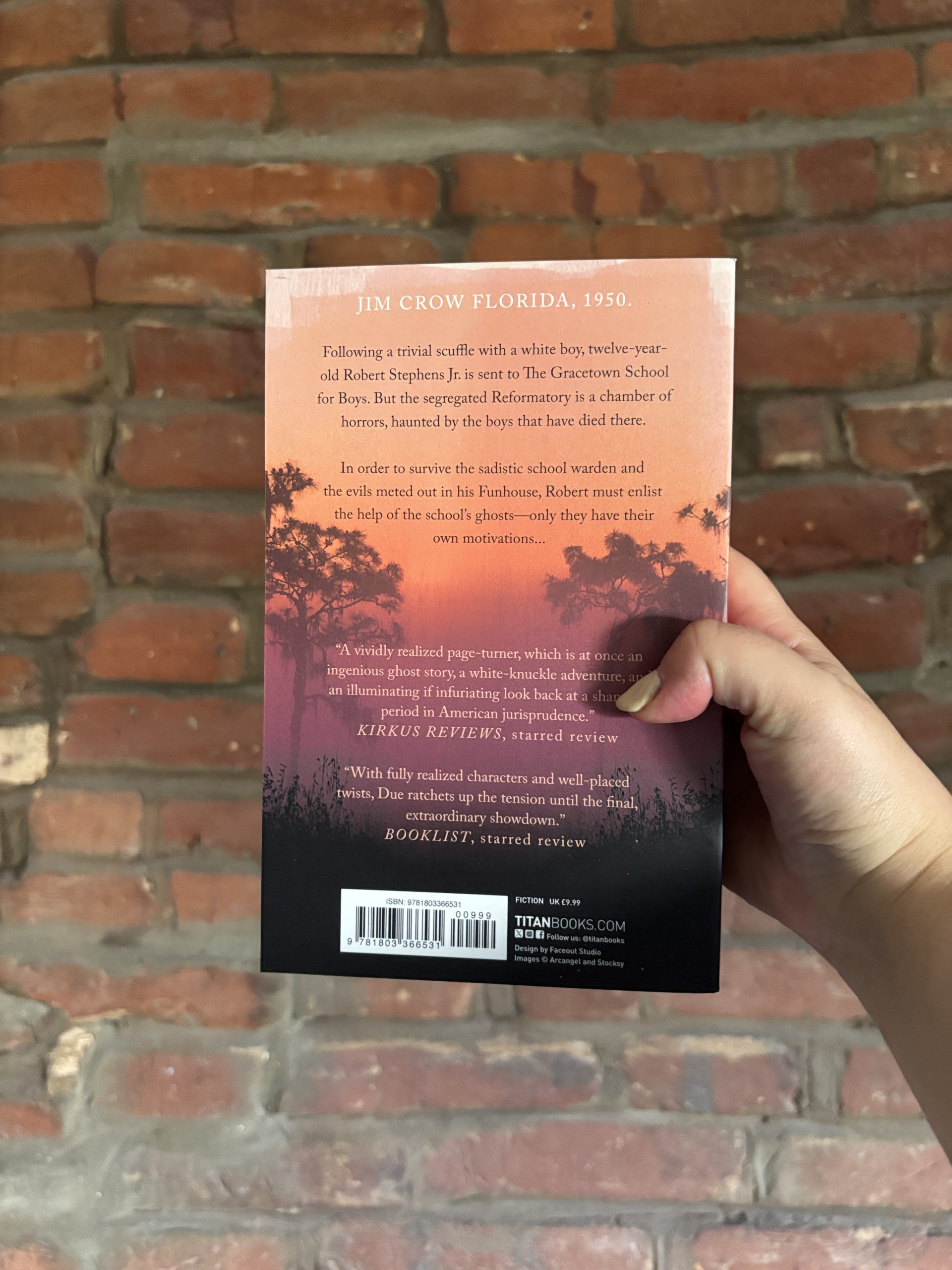 The Reformatory back cover