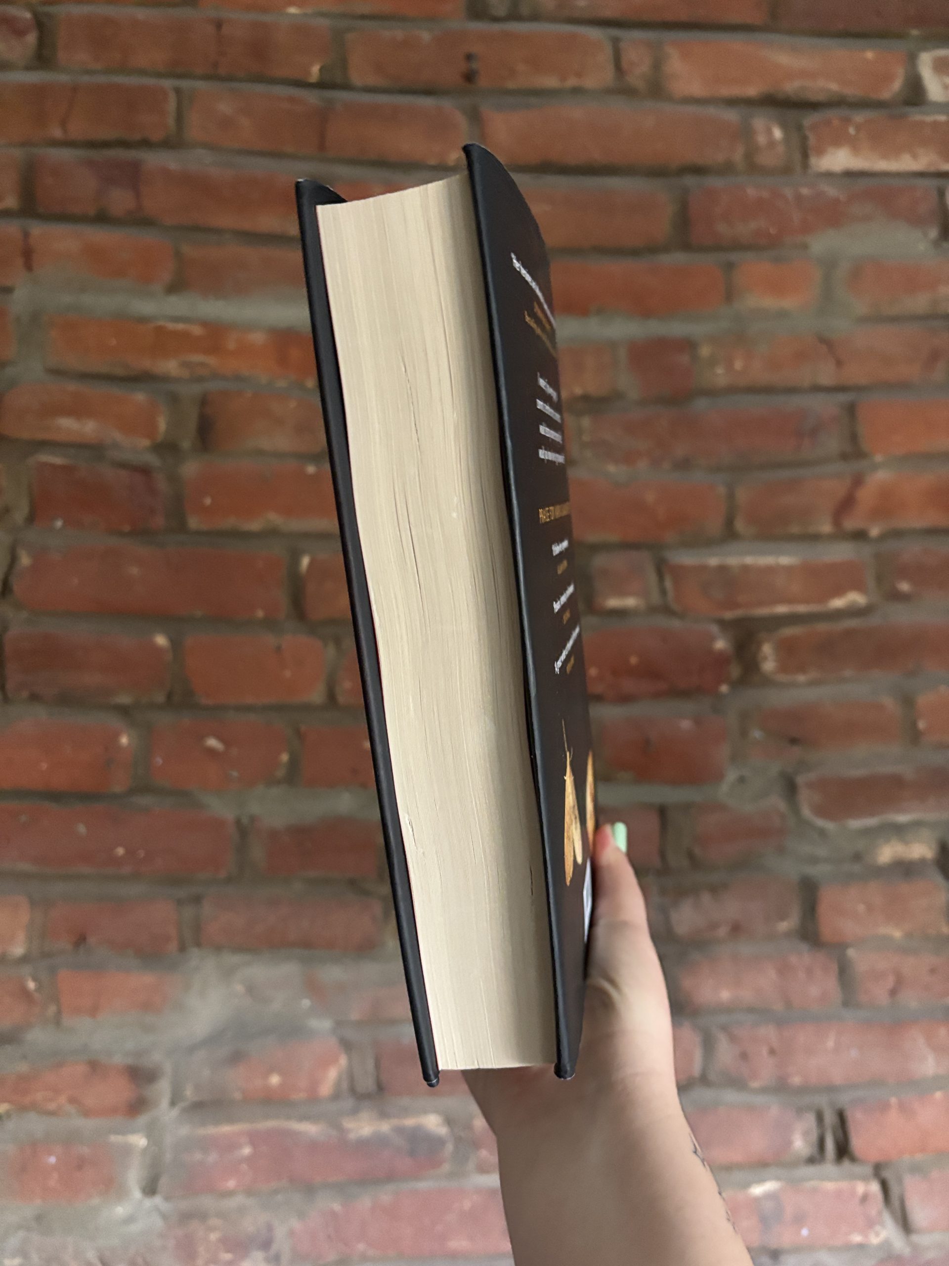 Karin Slaughter False Witness book edge