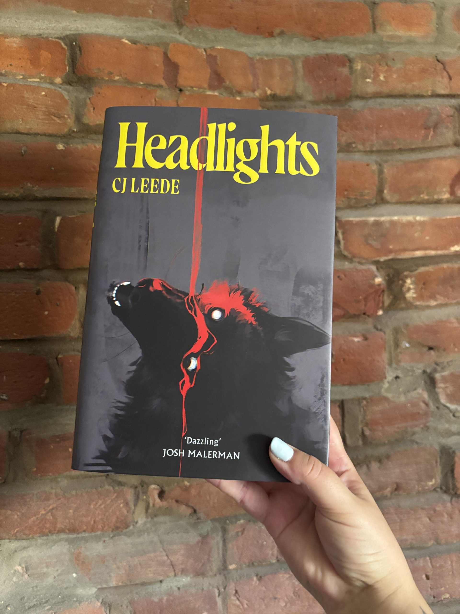 Headlights CJ Leede book cover