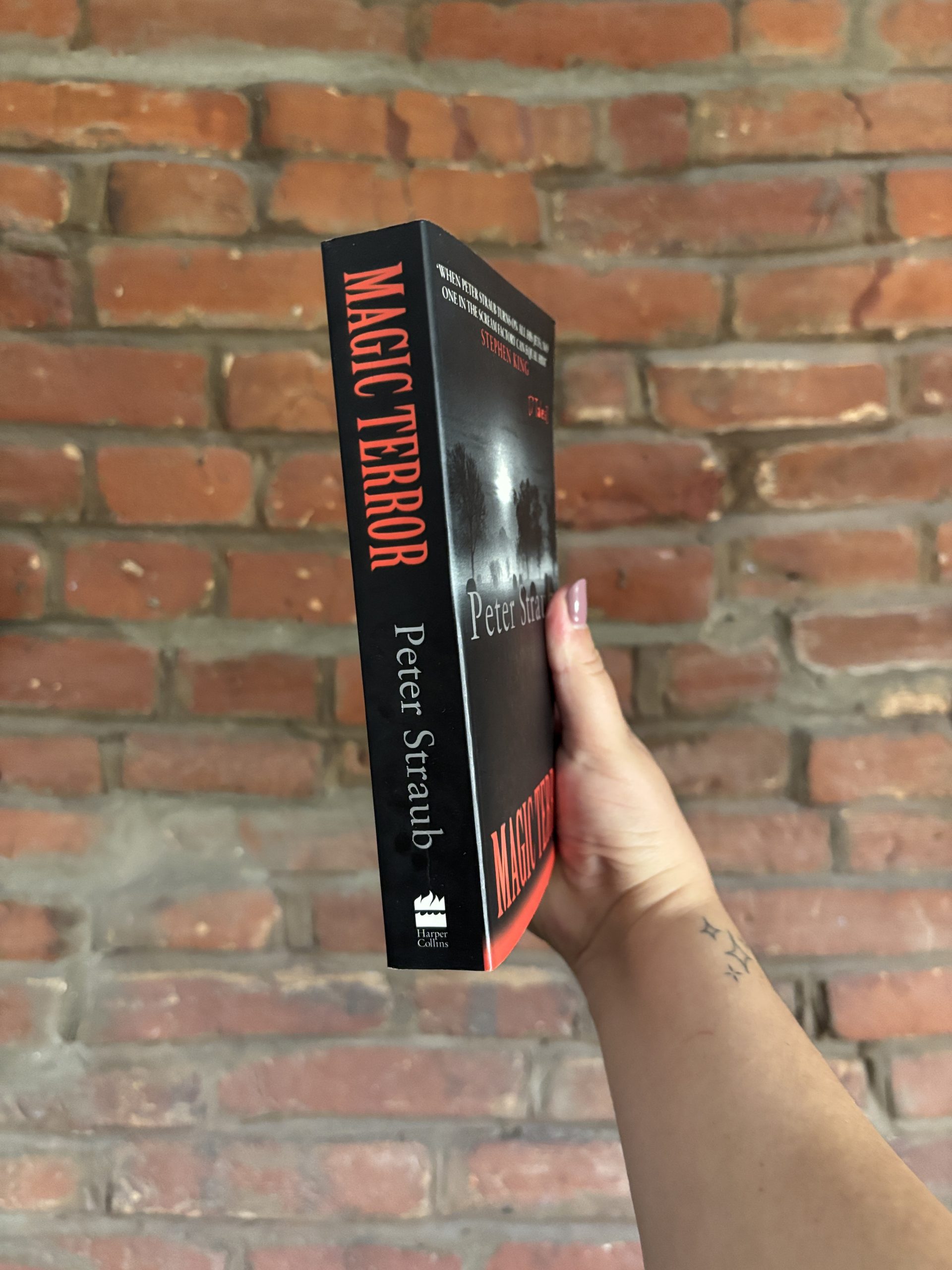 Magic Terror by Peter Straub book spine