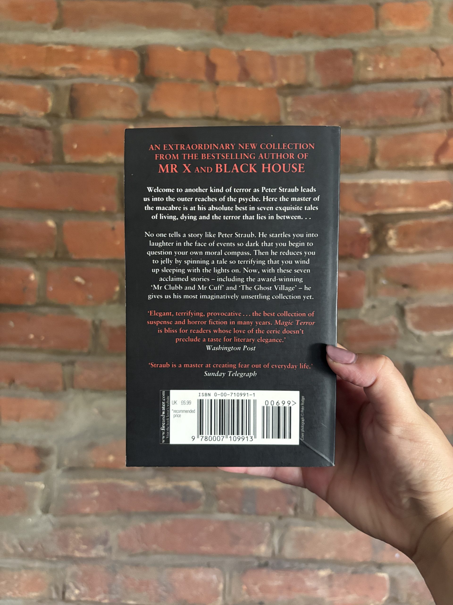 Magic Terror by Peter Straub short story collection back cover