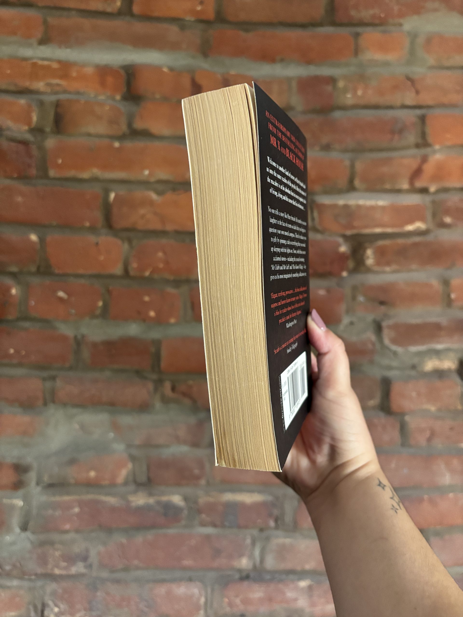 Magic Terror by Peter Straub book side view showing pages and condition