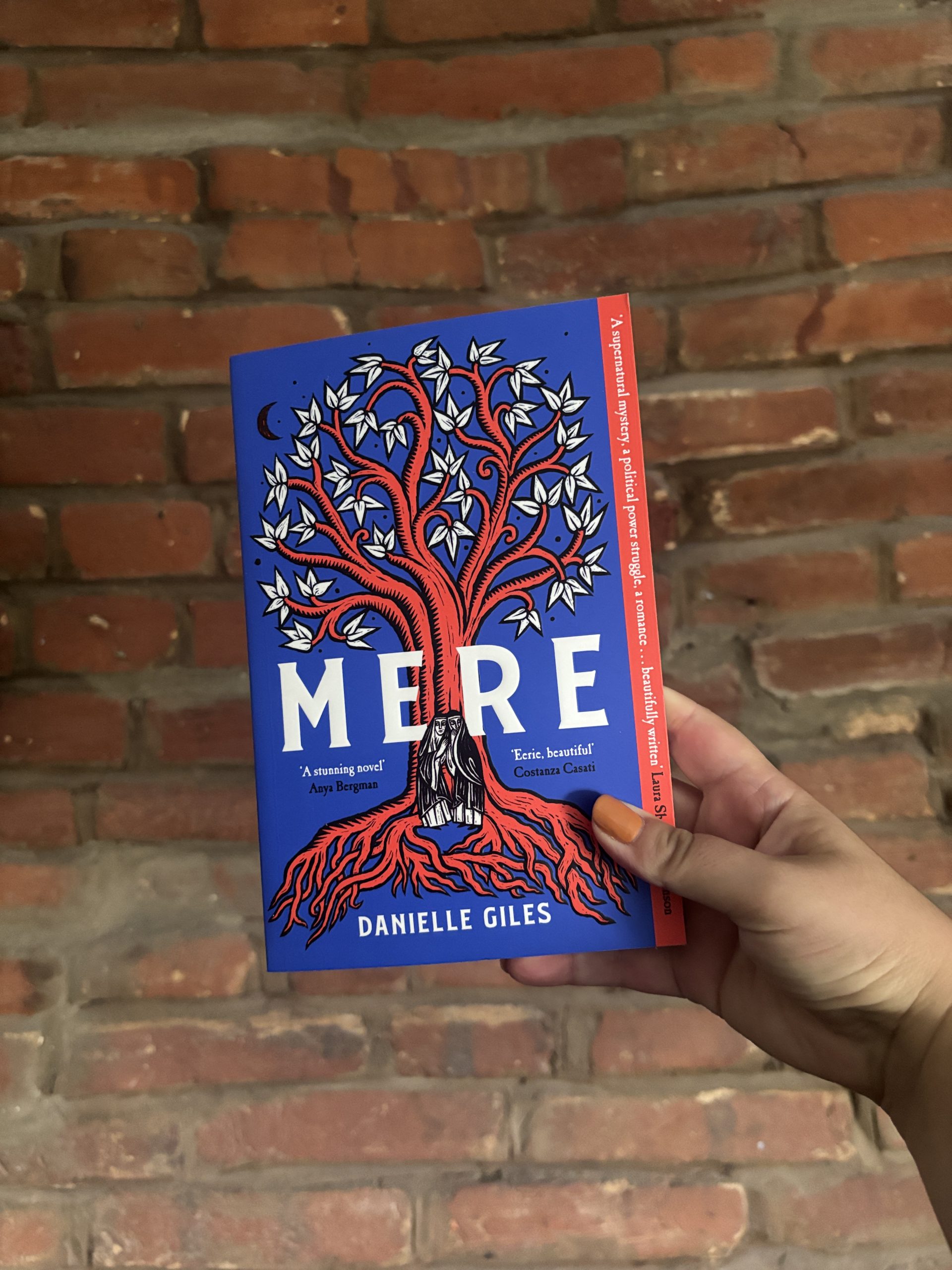 Front cover of Mere by Danielle Giles, an atmospheric historical horror novel set in medieval Norfolk.