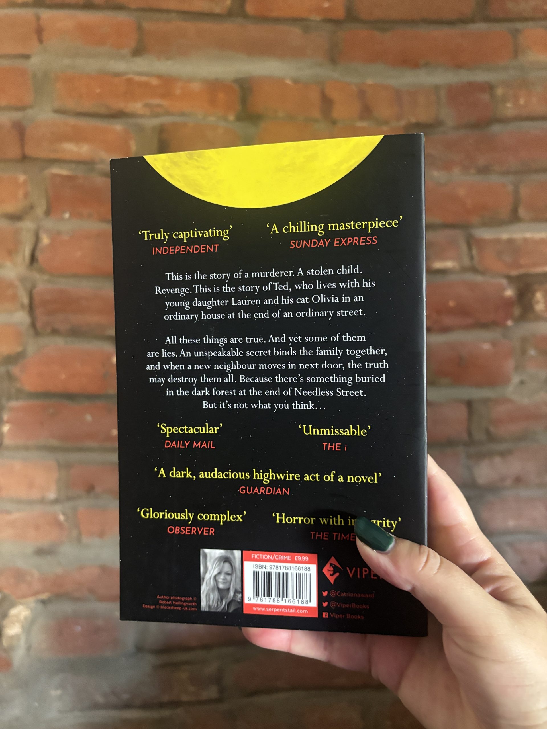 The Last House on Needless Street by Catriona Ward back cover